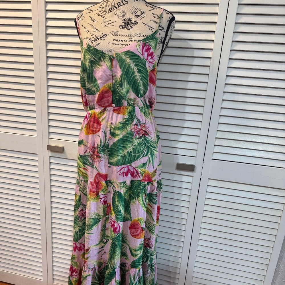 BB Dakota Floral Maxi Dress - Pink and Green